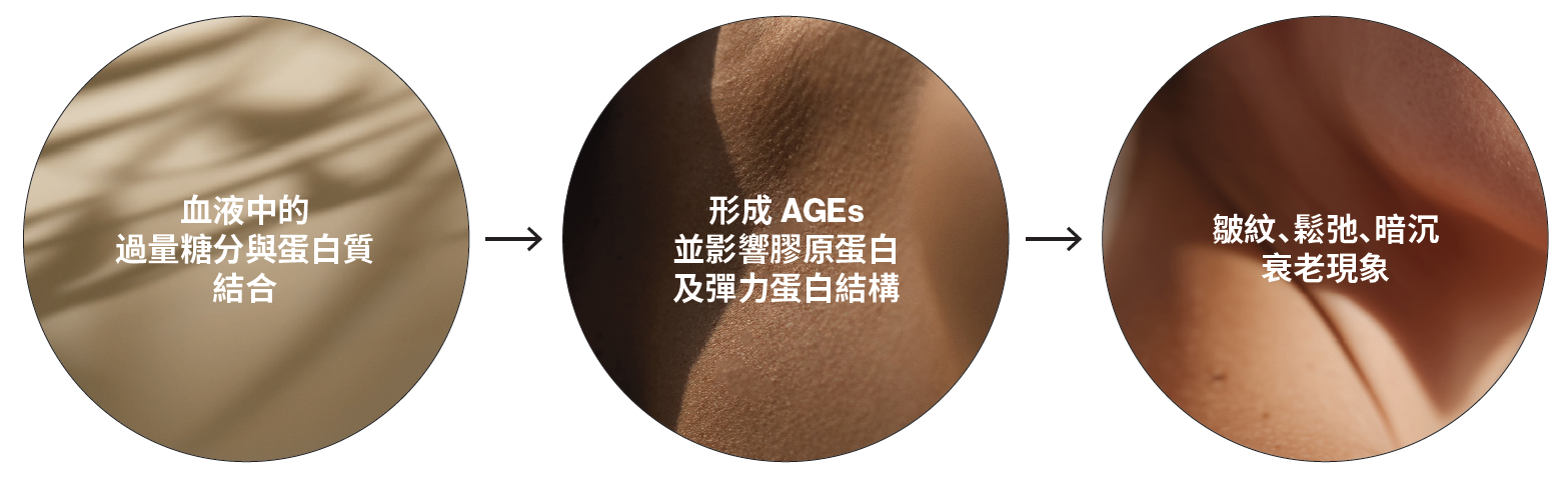 晚期糖基化終末產物 AGEs : 肌膚老化的關鍵